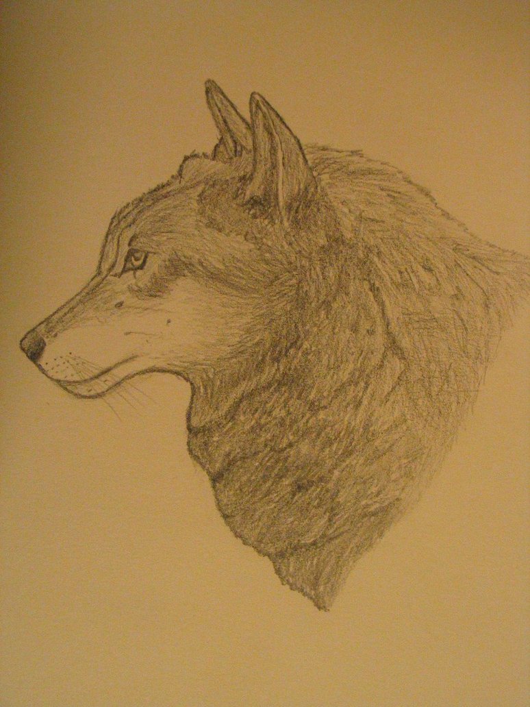 774x1032 My Best Sketch Ever By Xsilenthills - Coolest Sketch Ever