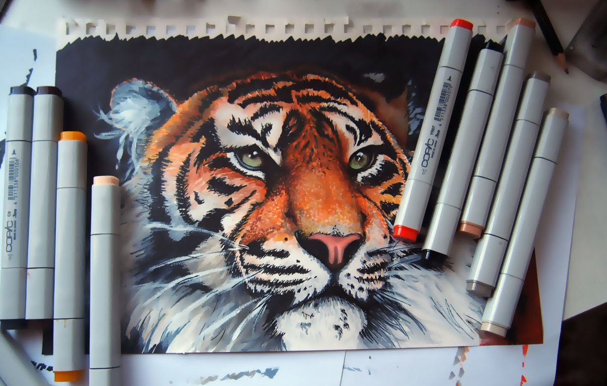 1226x780 Tiger - Copic Sketch Drawings