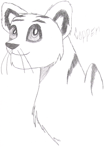 359x504 Copper Sketch By Midnightfox31 - Copper Sketch