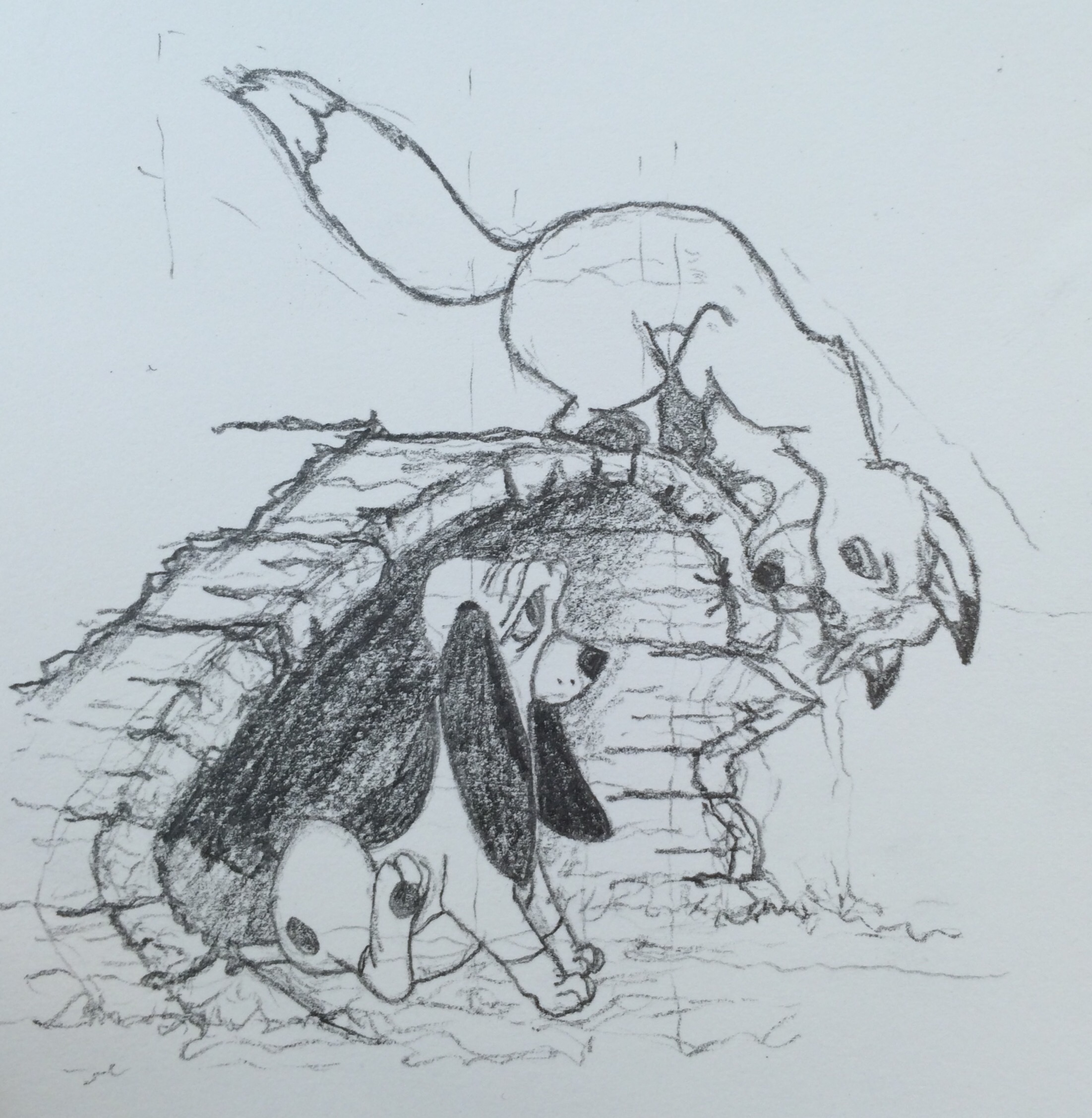 2202x2255 Todd And Copper Megan Carpenter - Copper Sketch