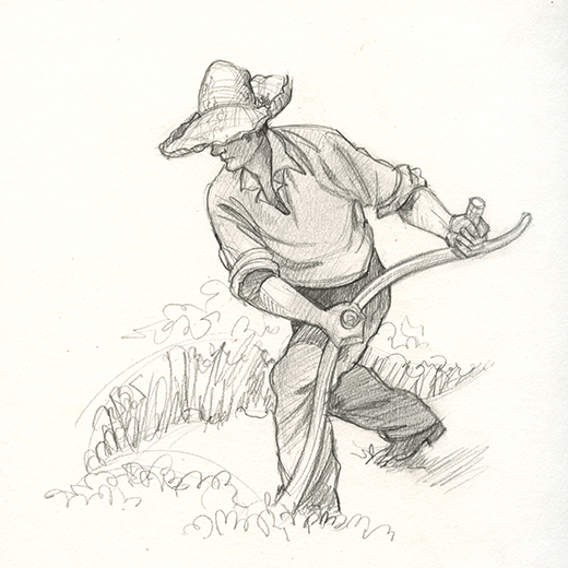 520x520 Shawna Jc Tenney Nc Wyeth Copy Sketch - Copy Sketch