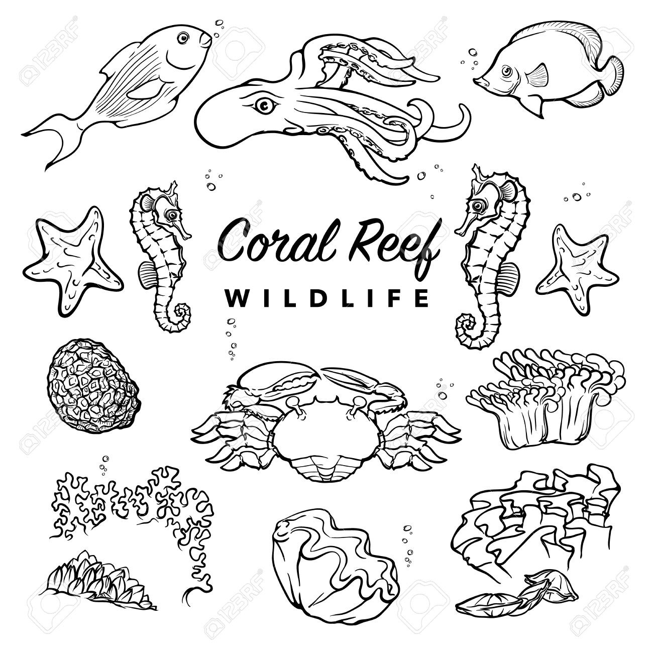 Creative Realistic Sketch Coral Reef Drawing for Beginner