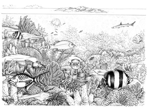 500x370 Coral Reef Scene Done By Lizzie Harper For Wwt Inking - Coral Reef Sketch