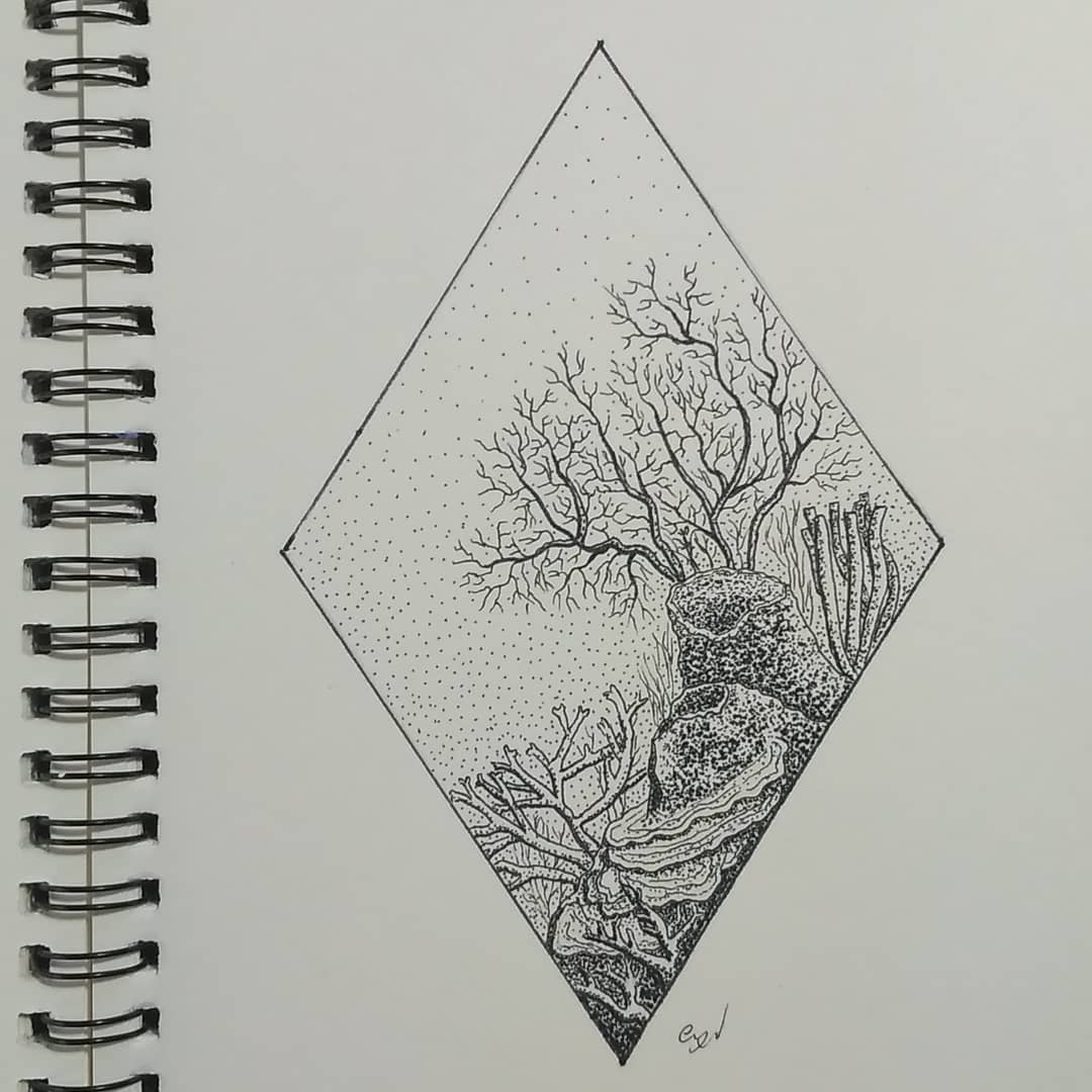 1080x1080 Coral Reef Drawing - Coral Reef Sketch