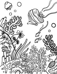202x261 How To Draw A Coral Reef Step 8 Drawing Coral - Coral Reef Sketch