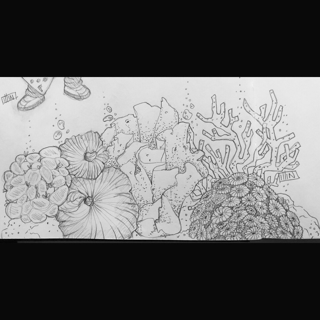1080x1080 Illin On Twitter - Coral Reef Sketch