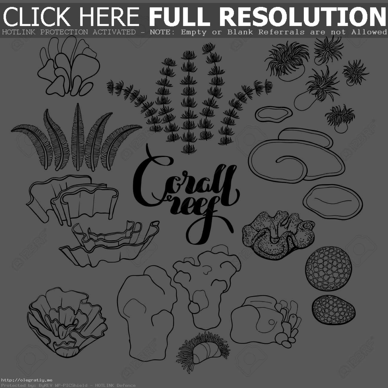 1300x1300 Drawn Coral Reef Sketch 1 - Coral Sketch