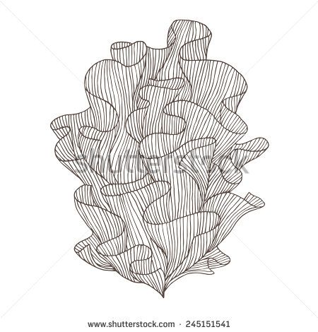 450x470 Abstract Hand Drawn Illustration. Decorative Design Element - Coral Sketch