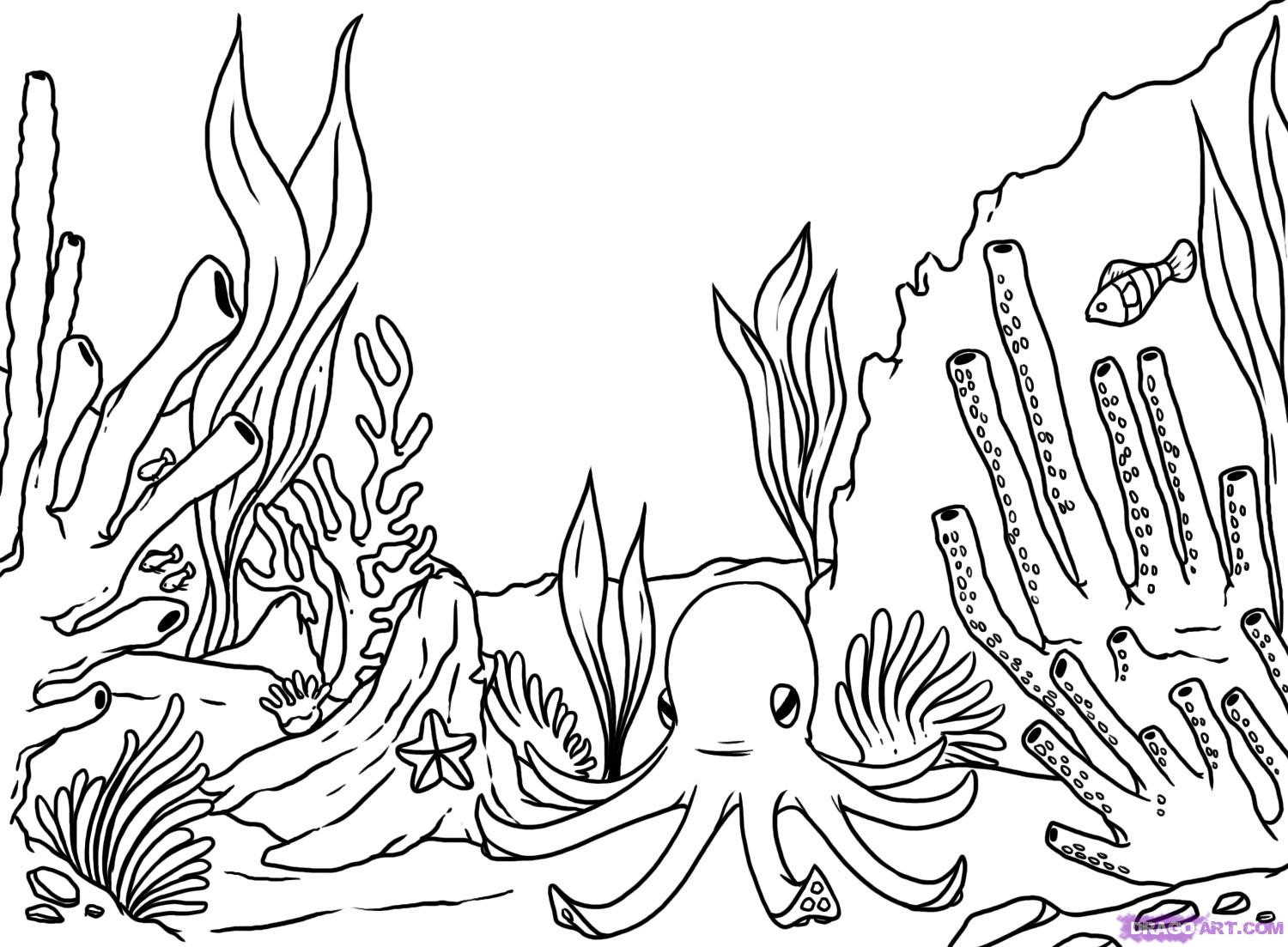 1500x1103 Simple Coral Reef Drawing Fiscalreform - Coral Sketch
