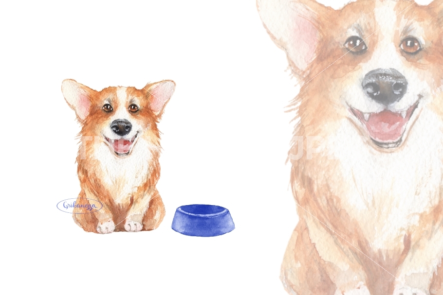 910x607 Corgi. Watercolor Sketch By Gribanessa - Corgi Sketch