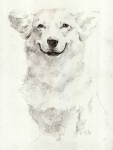 Corgi Sketch at PaintingValley.com | Explore collection of Corgi Sketch