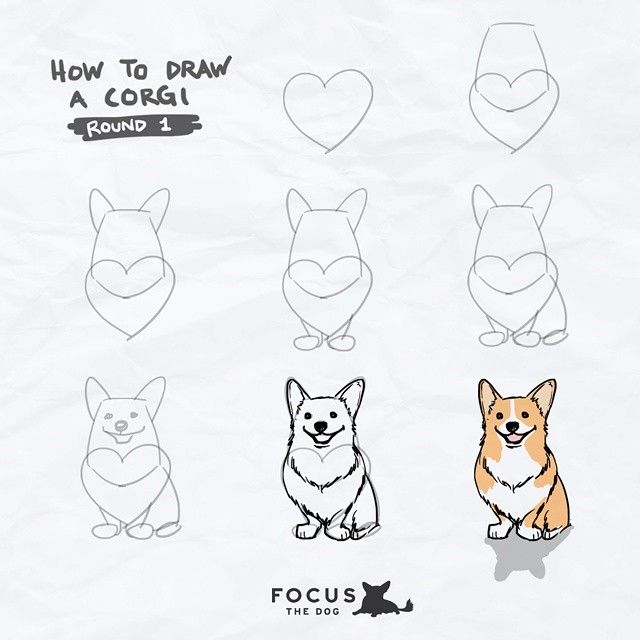 640x640 Cadenceabsolutely My New Ig Series How To A Corgi P Dog - Corgi Sketch