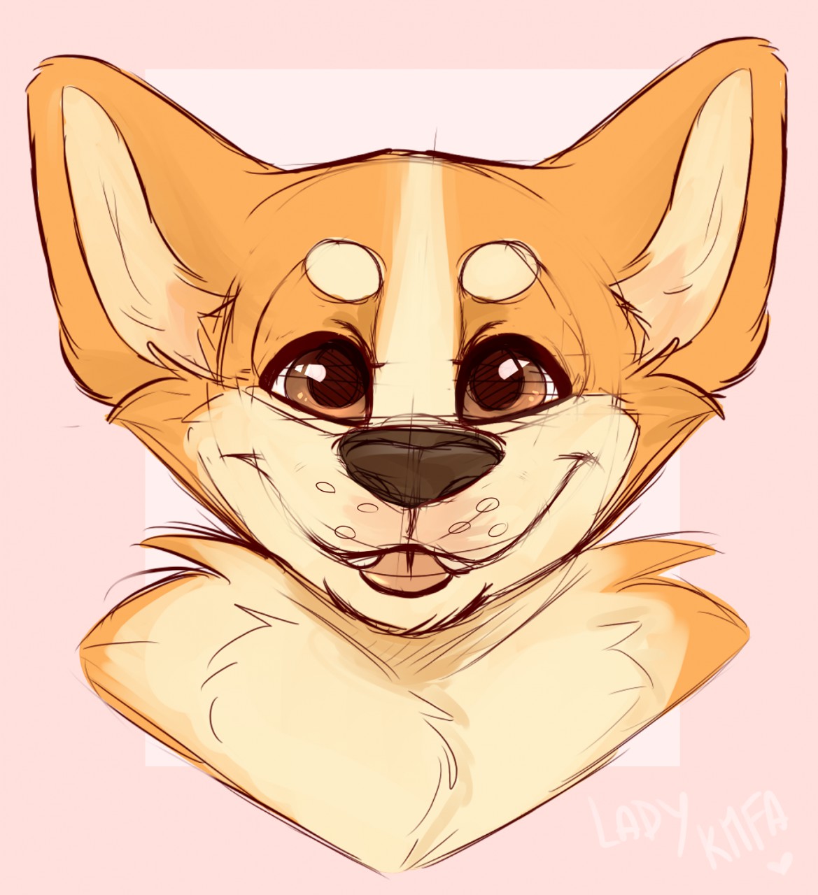 1169x1280 Corgi Sketch By Ladykmfa - Corgi Sketch