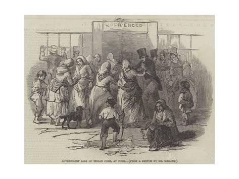 473x355 Government Sale Of Indian Corn, - Cork Sketch