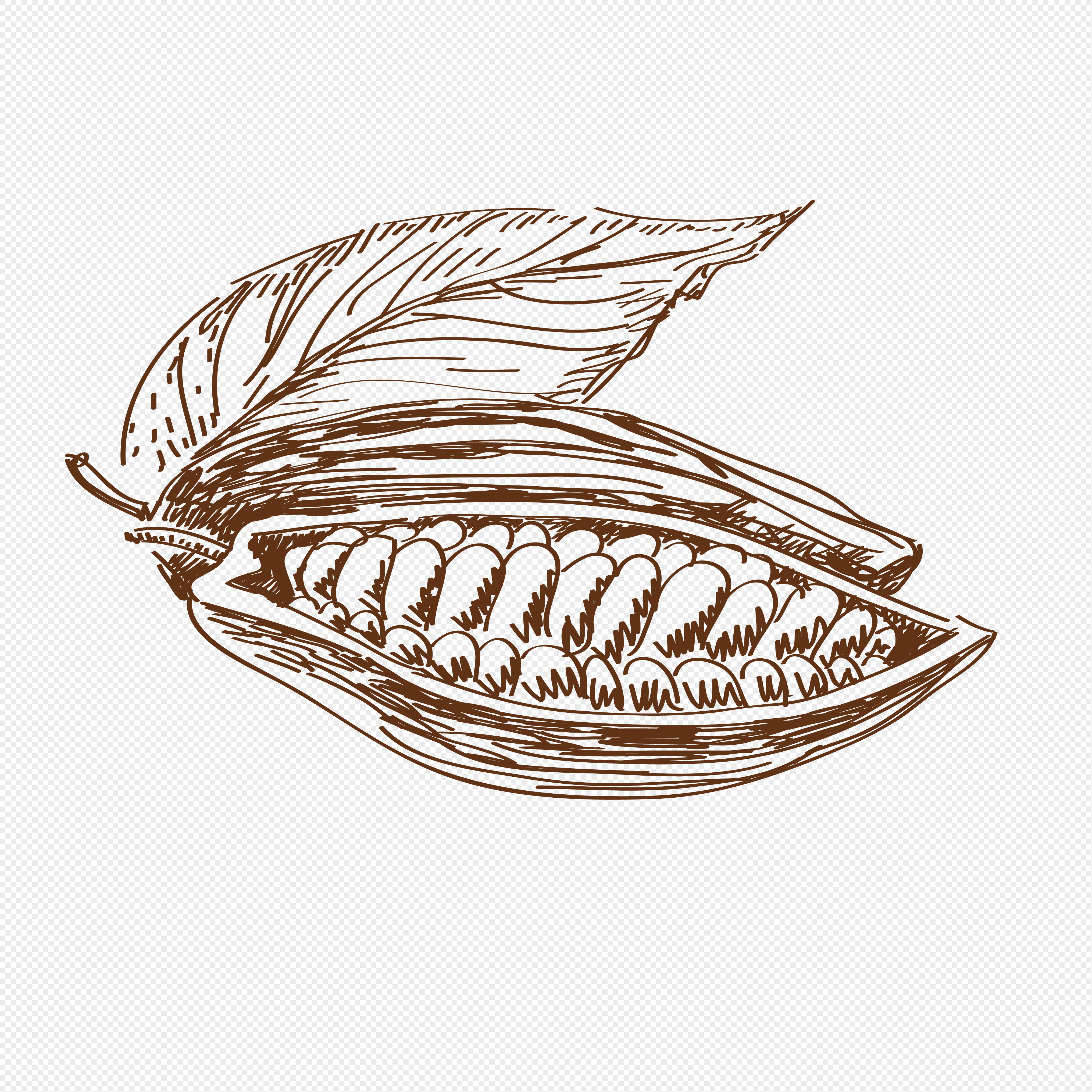 4062x4062 Sketch Corn Element Png Image Picture Free Download - Corn Sketch