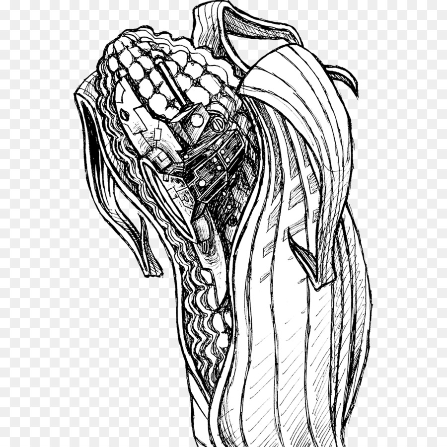 900x900 Visual Arts Figure Drawing Sketch - Corn Sketch