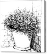 163x186 Corner Pot Sketch Drawing By Viva Anderson - Corner Sketch