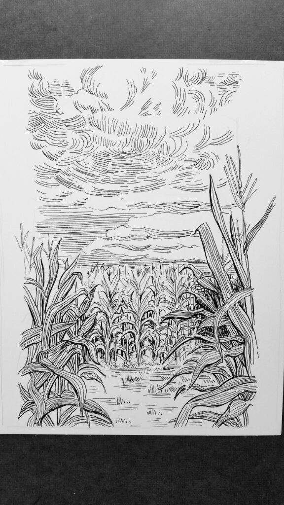 576x1024 Cornfield Art Amino - Cornfield Sketch