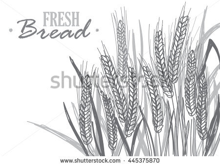 450x340 Crop Field Sketch. Excellent Cassandra Robillard With Crop Field - Cornfield Sketch