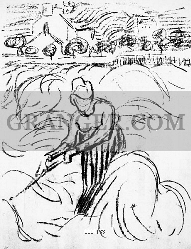 385x500 Image Of Van Gogh Peasant Woman. - Cornfield Sketch
