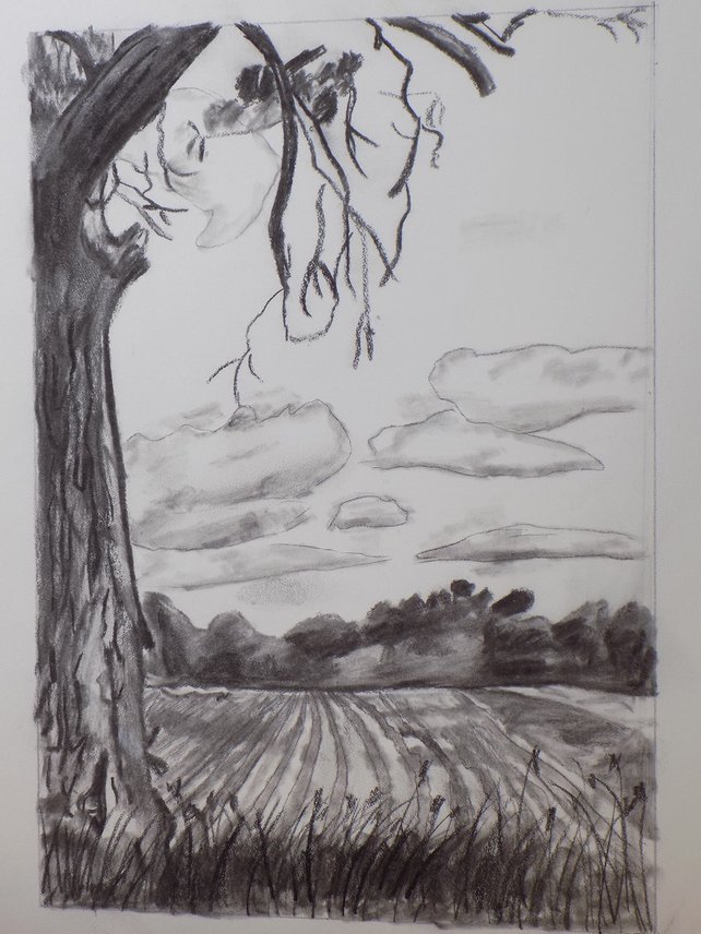 642x856 Original Charcoal Drawing Charcoal Sketch Cornfield Drawing Etsy - Cornfield Sketch