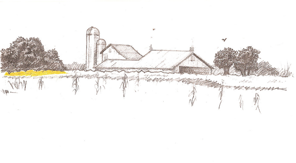 1024x566 Pencil Sketch - Cornfield Sketch