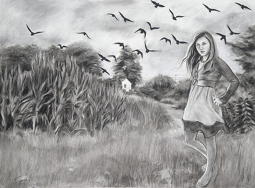 500x369 Birds (Over A Cornfield) This Is My Latest Drawing Done - Cornfield Sketch