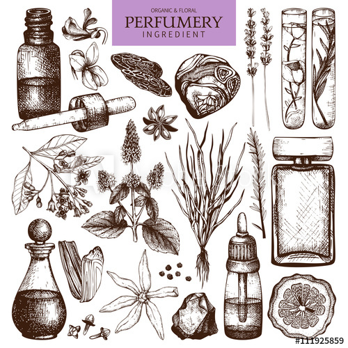 500x500 Vector Collection Of Hand Drawn Perfumes And Cosmetics Sketch - Cosmetics Sketch