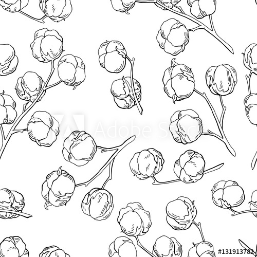 500x500 Cotton Plant Graphic Black White Seamless Pattern Sketch - Cotton Plant Sketch