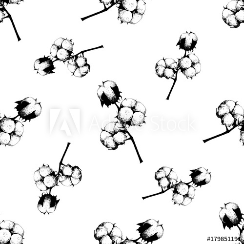 500x500 Seamless Pattern Of Hand Drawn Sketch Style Cotton Plant. Vector - Cotton Plant Sketch