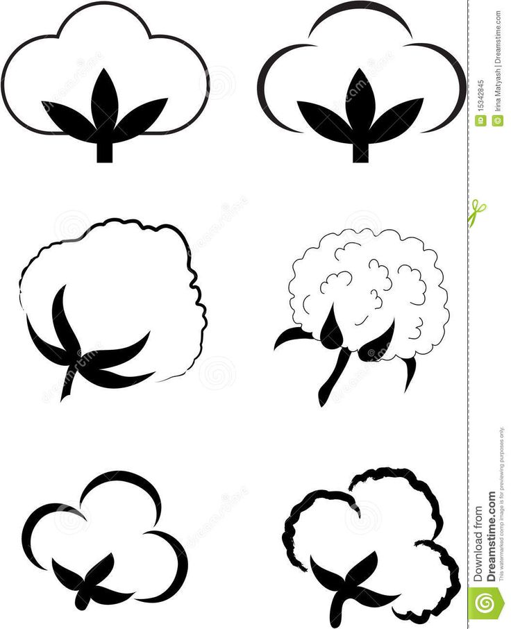 736x906 Cotton Clipart Sketch - Cotton Sketch