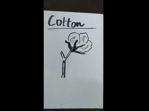 480x360 How To Draw A Cotton In A Tree Drawing, Sketch, Art Lessons - Cotton Sketch