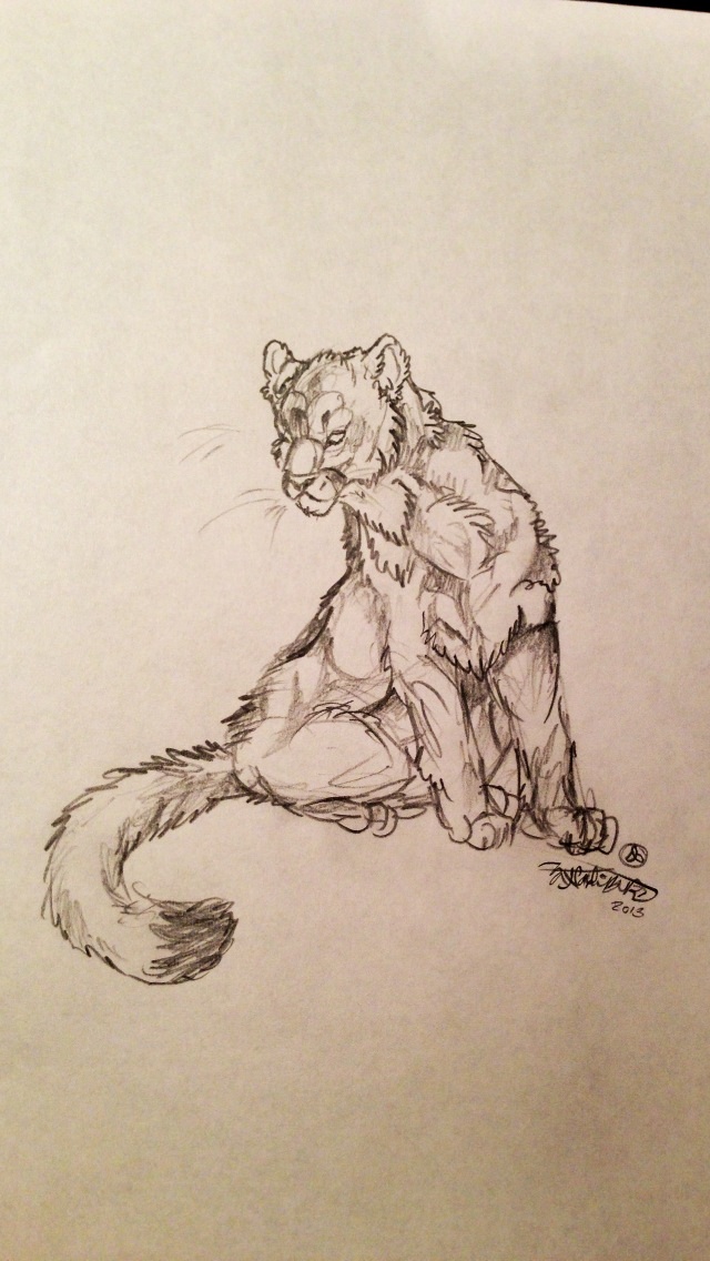 640x1136 Cougar Sketch By Scottwolf97 - Cougar Sketch