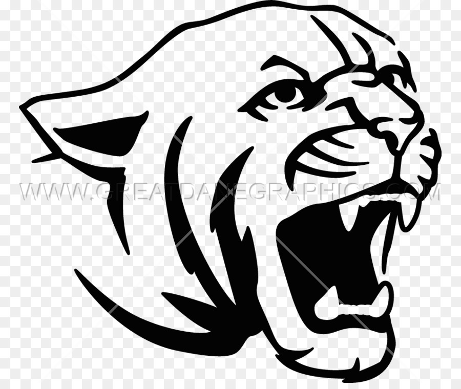 900x760 Tiger Lion Cougar Drawing Clip Art - Cougar Sketch