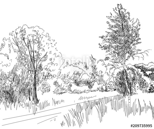 500x419 Vector Illustration Summer Landscape With Country Road Stock - Country Road Sketch