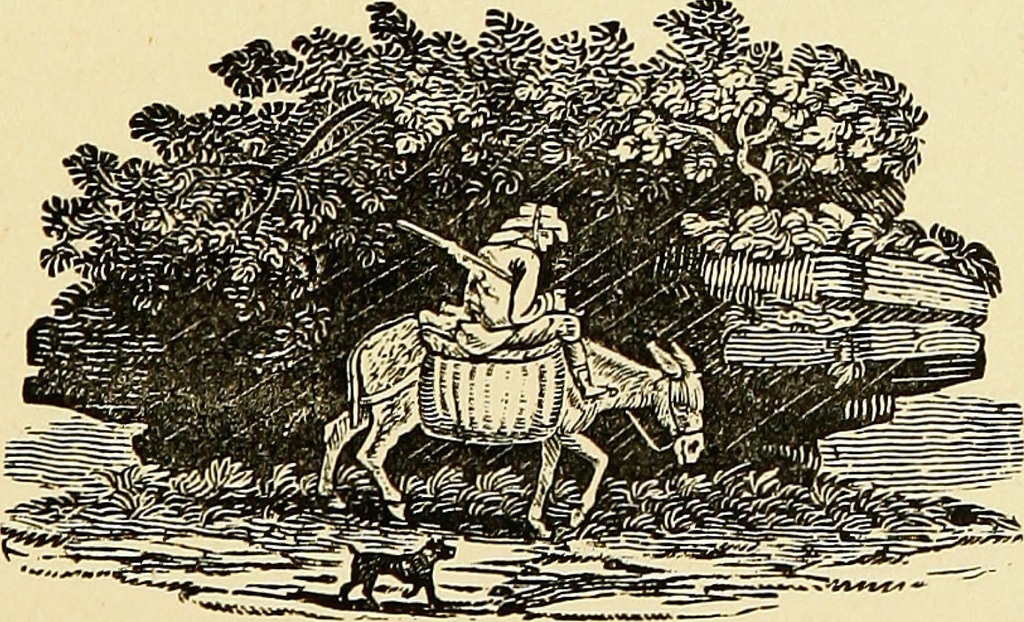 1024x622 Image From - Country Sketches