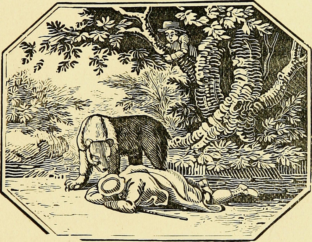 1024x793 Image From - Country Sketches