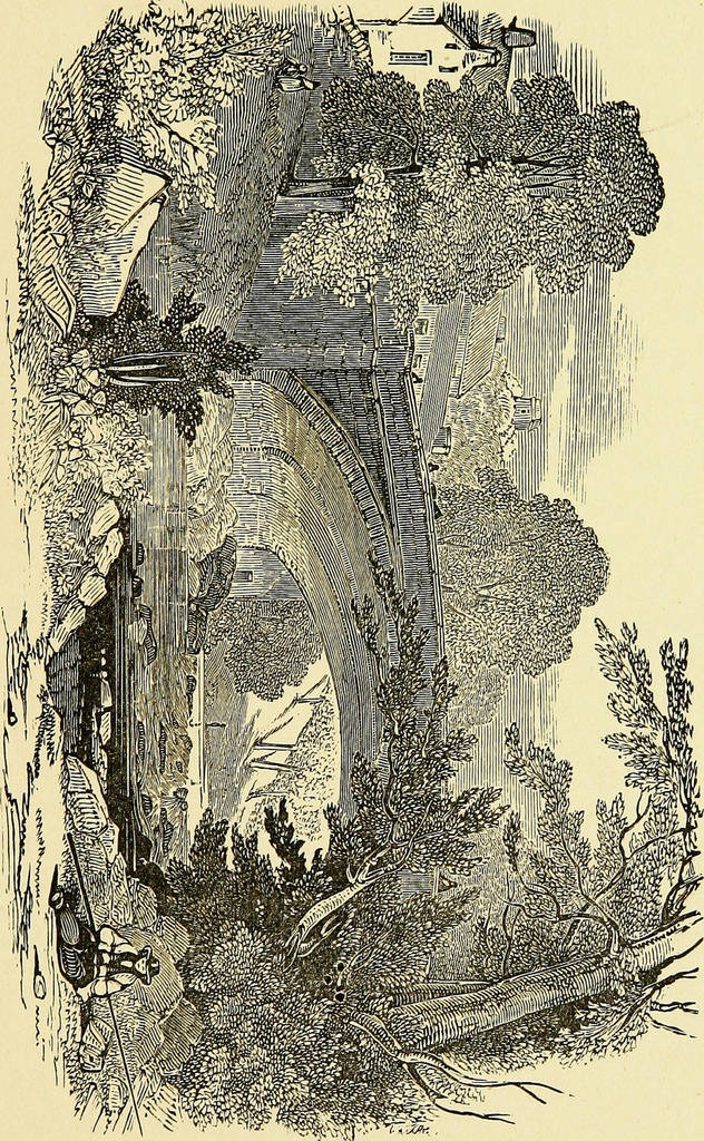 632x1024 Image From - Country Sketches