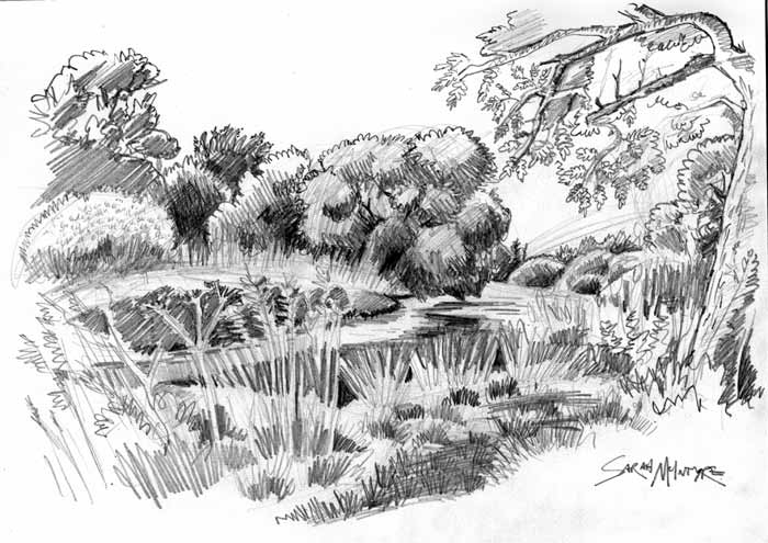 Countryside Sketch at PaintingValley.com | Explore collection of ...