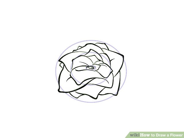 640x480 9 Easy Ways To Draw A Flower - Couple Sketch Drawing