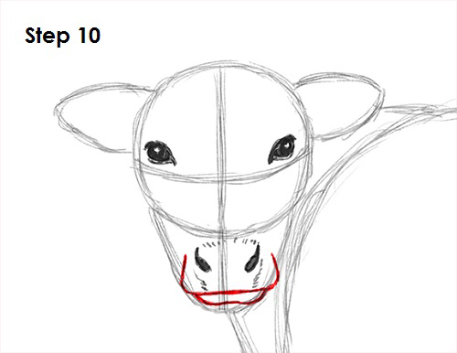 500x386 How To Draw A Cow - Cow Face Sketch