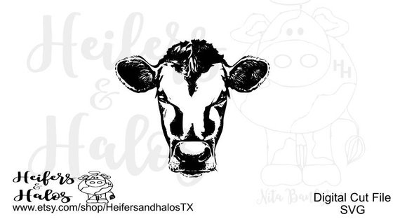 570x313 Photos Cow Face Silhouette Svg, - Cow Face Sketch