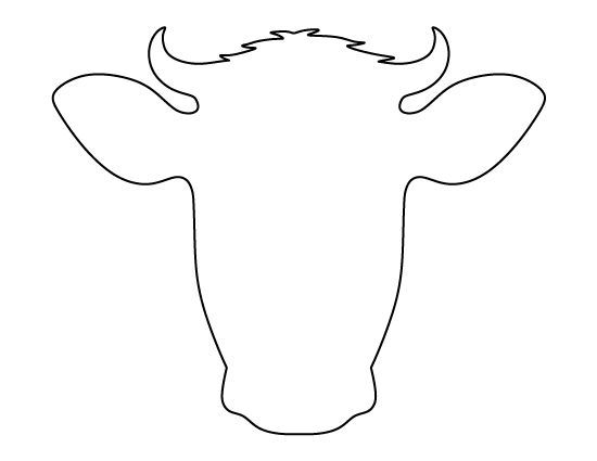 550x425 Pictures Cow Face Outline, - Cow Face Sketch
