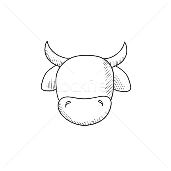 600x600 Cow Head Sketch Icon. Vector Illustration Andrei Krauchuk - Cow Head Sketch