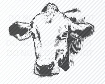 340x270 Cow Head Svg Etsy - Cow Head Sketch