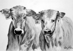 Cow Head Sketch at PaintingValley.com | Explore collection of Cow Head ...