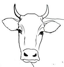 220x229 Step By Step Cow Drawing Face - Cow Head Sketch