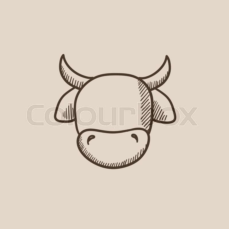 800x800 Cow Head Sketch Icon For Web, Mobile And Infographics. Hand Drawn - Cow Head Sketch