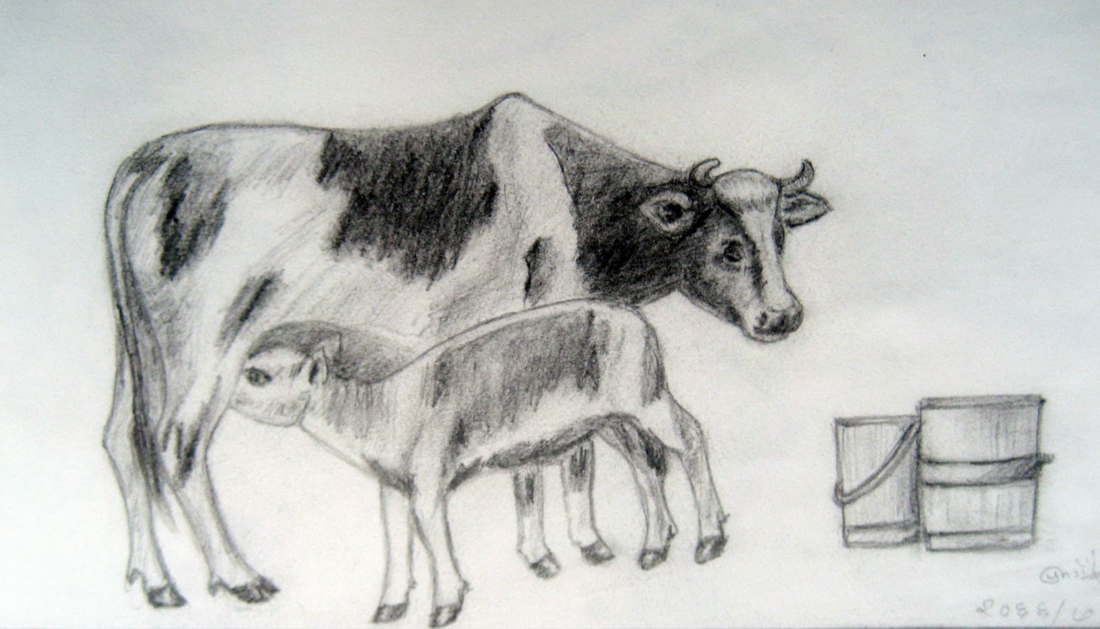 1600x915 Cow Pencil Sketches Drawn Cow Pencil Sketch - Cow Pencil Ske...