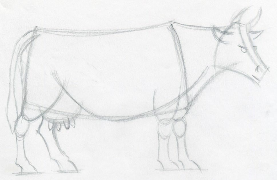 969x629 How To Draw A Cow Step By Step - Cow Pencil Sketches. 